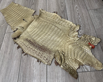 Gold Satin Genuine Caiman Crocodile Leather CMN495 product photo 1