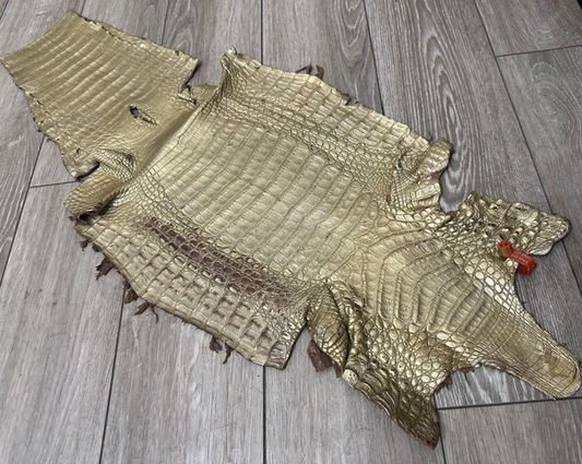 Gold Satin Genuine Caiman Crocodile Leather CMN495 product photo 1