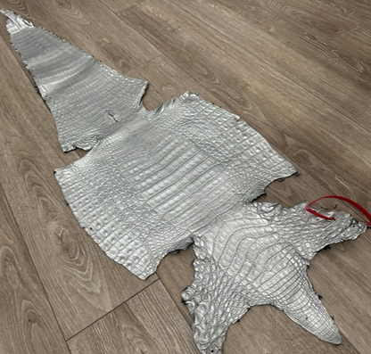 XL Silver Genuine Caiman Crocodile belly Hide Leather real alligator Croc 606