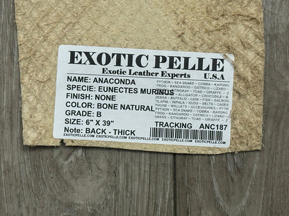 Bone Natural Genuine Anaconda Snake skin Leather hide python real boa rattle 187