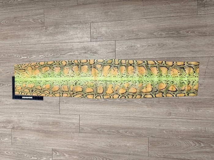 Honey Green Natural Pattern Glossy Genuine Burmese Python Snake Leather Belly 162 product photo 2