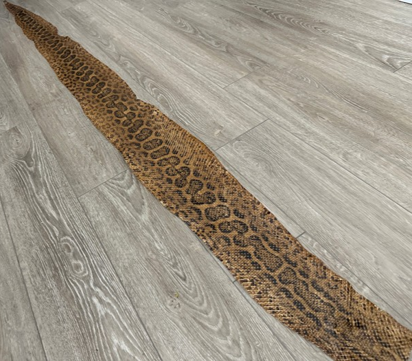 Tan Glossy Genuine Anaconda Leather real hide snake skin python boa rattle 327