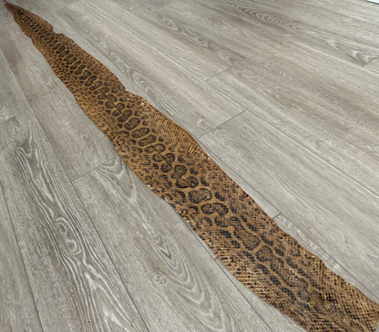 Tan Glossy Genuine Anaconda Leather real hide snake skin python boa rattle 327