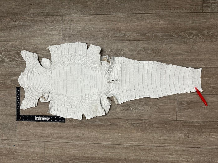 XL White Genuine Caiman Crocodile belly Hide Leather real alligator Croc 784