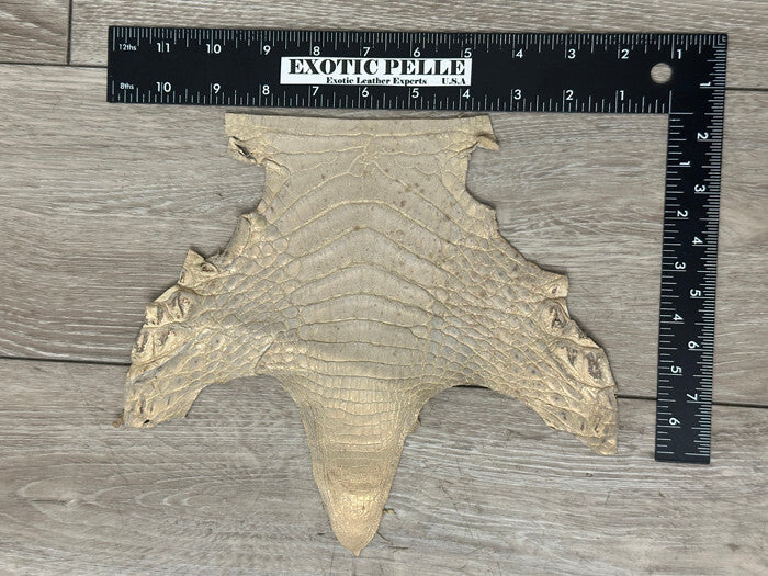 Desert Bronze Metallic Caiman Crocodile belly Hide Leather Skin alligator Croc 1