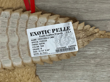 XL Tan Genuine Caiman Crocodile belly Hide Leather real alligator Croc 609