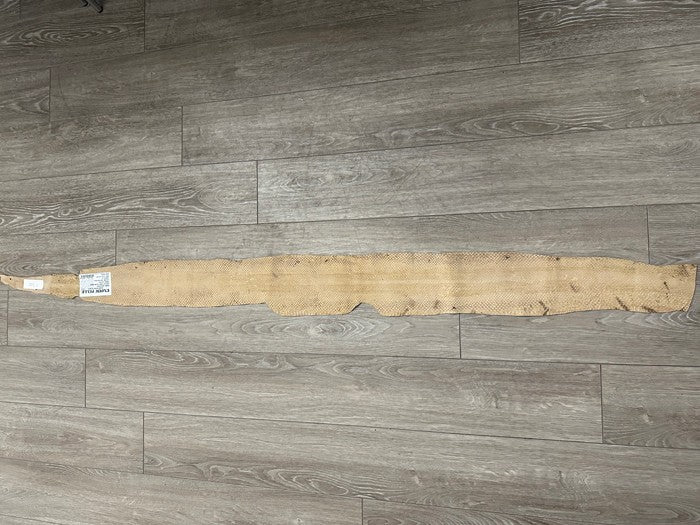 Tan Glossy Genuine Anaconda Leather real hide snake skin python boa rattle 326