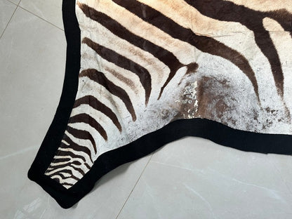 NEW JUMBO 10+ Foot Genuine African Burchells Zebra Rug Safari hair on Hide Skin