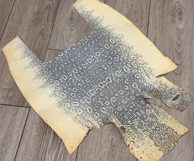 Genuine Water Monitor Java Ring Lizard Leather - Honey Natural Semi Gloss WYSIWYG 320 product photo 1