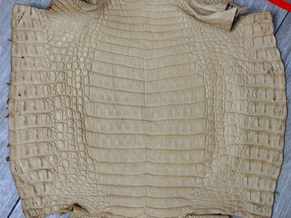 Genuine Caiman Crocodile Leather Tan Belly Cut Satin, product photo 3