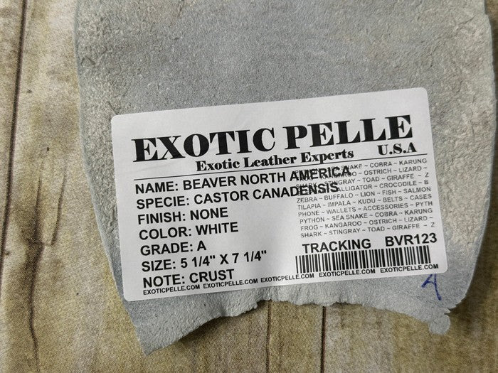 Genuine Beaver Tail Crust Hide Skin Leather exotic fish shark Tanned Tail 123