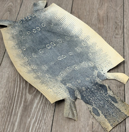 Genuine Water Monitor Java Ring Lizard - Honey Natural Semi Gloss Belly Cut WYSIWYG 319 product photo 1