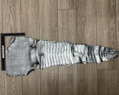 Silver Metallic Genuine Caiman Crocodile Belly Hide Leather Skin Alligator 457