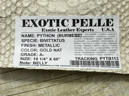 Burmese Python with Gold tint Genuine Snake Leather real hide snake skin boa 113