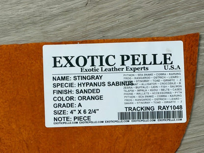 Orange Sanded Genuine Stingray Leather Piece Remnant 1048 product photo 3