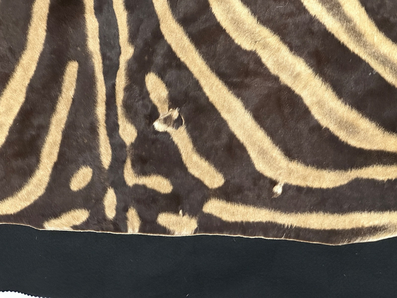 Natural Genuine Zebra Leather mini Rug ZBR18 product photo 18