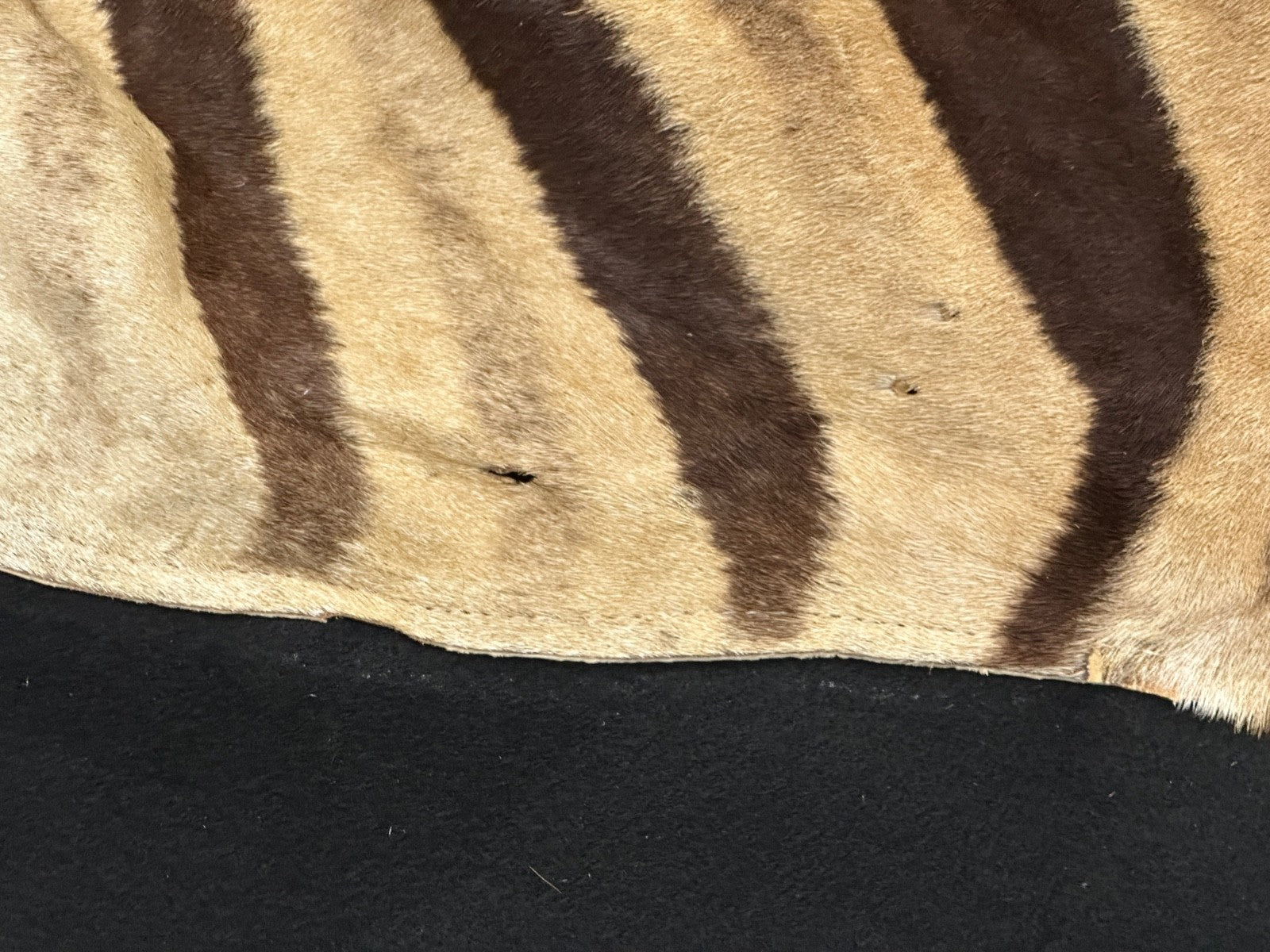 Natural Genuine Zebra Leather mini Rug ZBR18 product photo 10