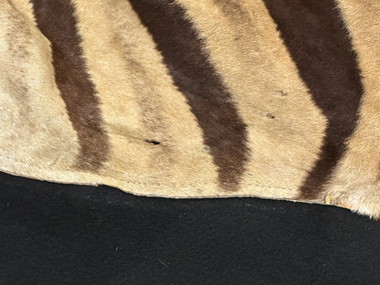 Natural Genuine Zebra Leather mini Rug ZBR18 product photo 10