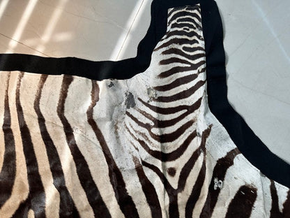 NEW JUMBO 10+ Foot Genuine African Burchells Zebra Rug Safari hair on Hide Skin
