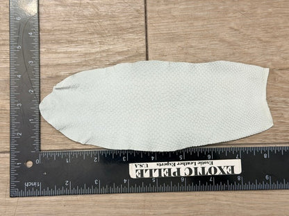 Genuine Beaver Tail Leather - White Crust WYSIWYG 183 product photo 2