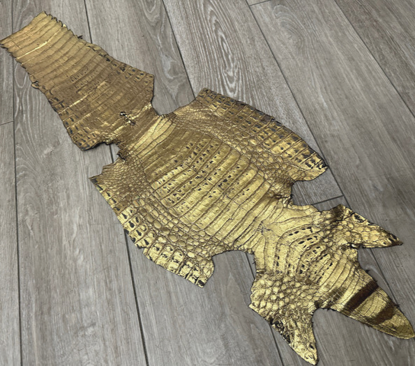 Gold Metallic Genuine Caiman Crocodile Belly Hide Leather Skin Alligator 471