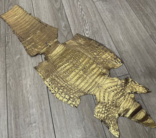 Gold Metallic Genuine Caiman Crocodile Belly Hide Leather Skin Alligator 471