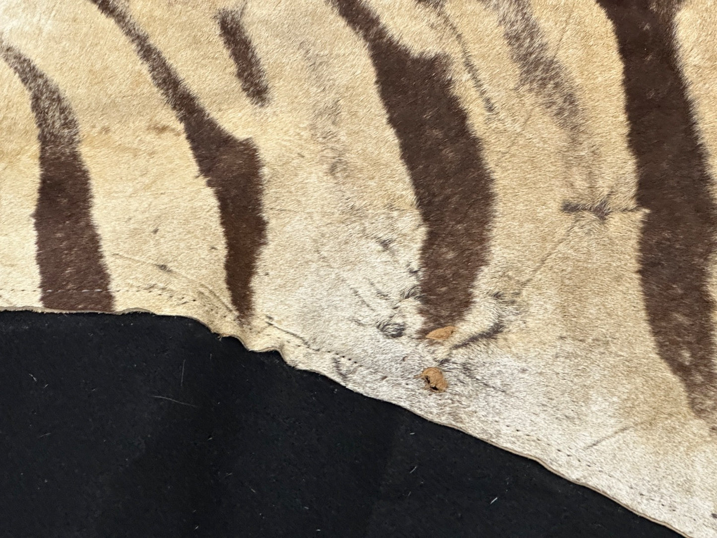 Natural Genuine Zebra Leather mini Rug ZBR18 product photo 11