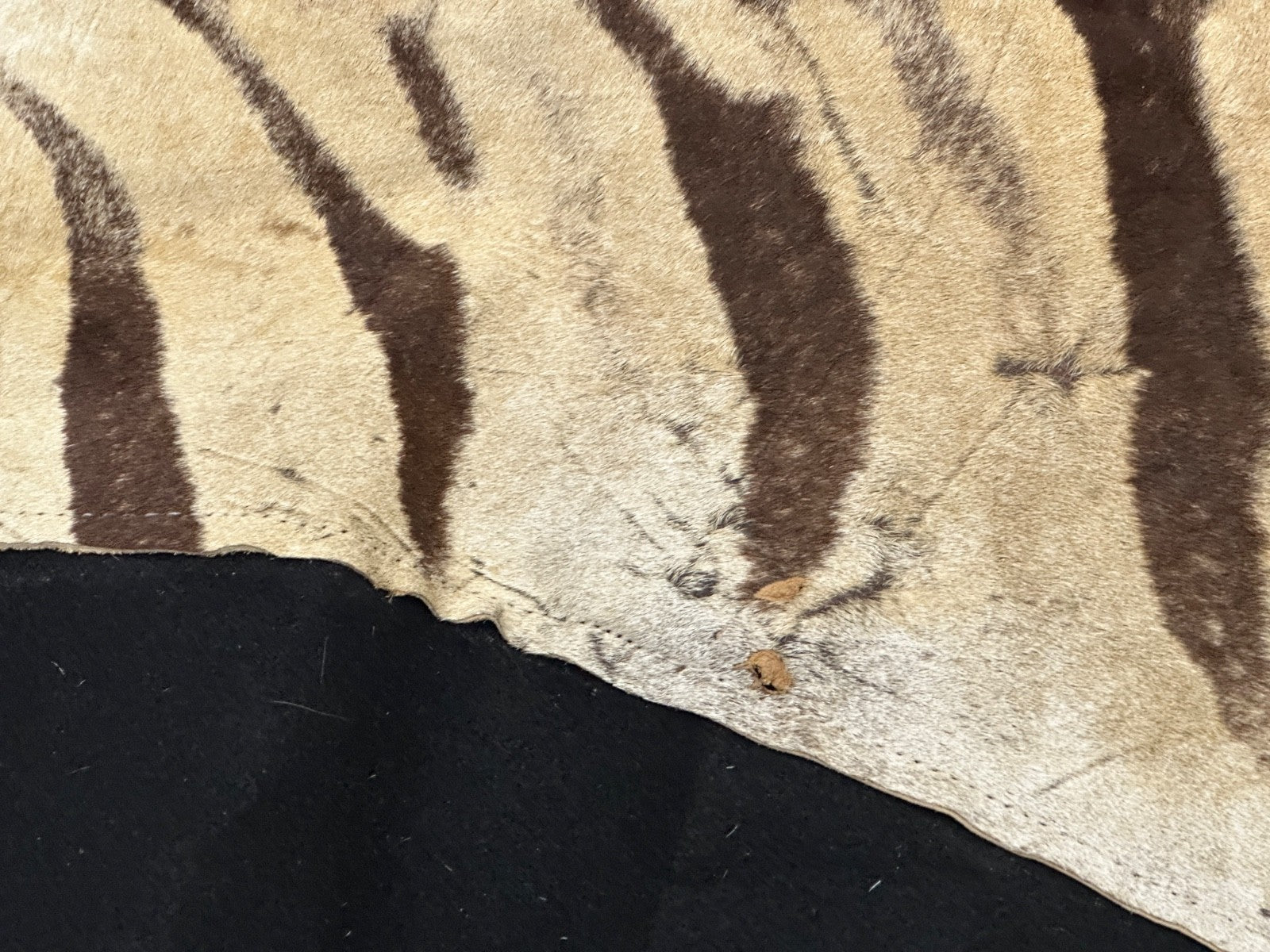 Natural Genuine Zebra Leather mini Rug ZBR18 product photo 11