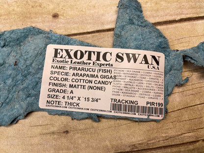 Cotton Candy Pirarucu Hide Genuine Skin Arapaimia Gigas Scrap Fish Leather 199