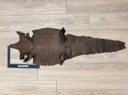BROWN Genuine Caiman Crocodile belly Hide Leather Skin real alligator Croc 487