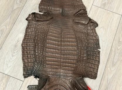 BROWN Genuine Caiman Crocodile belly Hide Leather Skin real alligator Croc 487