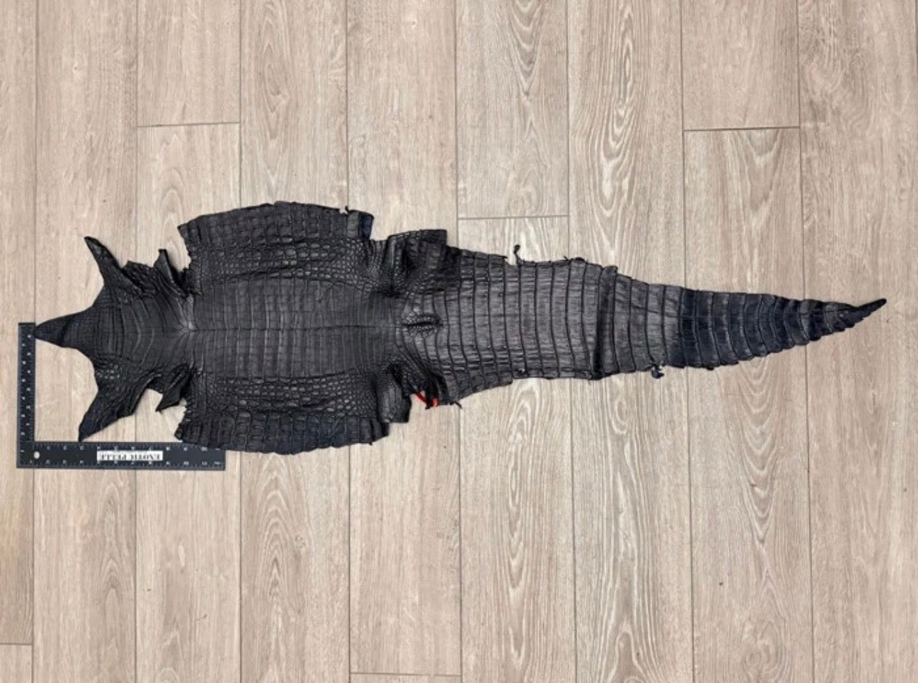 Black Genuine Caiman Crocodile belly Hide Leather Skin real alligator Croc 680