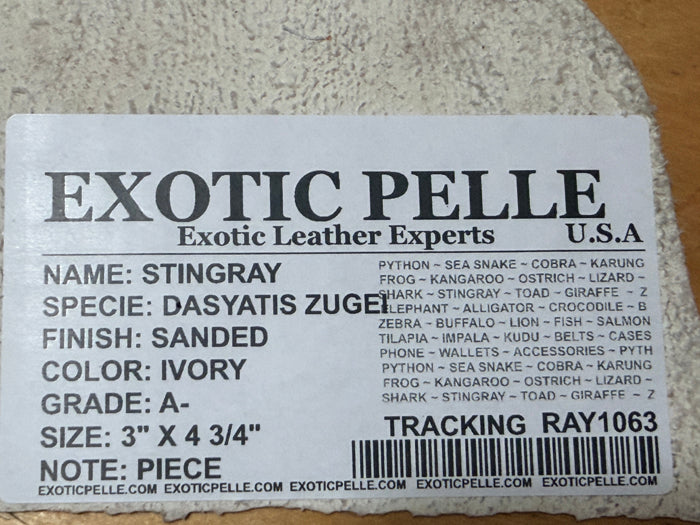 Genuine Stingray Leather - Ivory Sanded Piece Fish WYSIWYG 1063