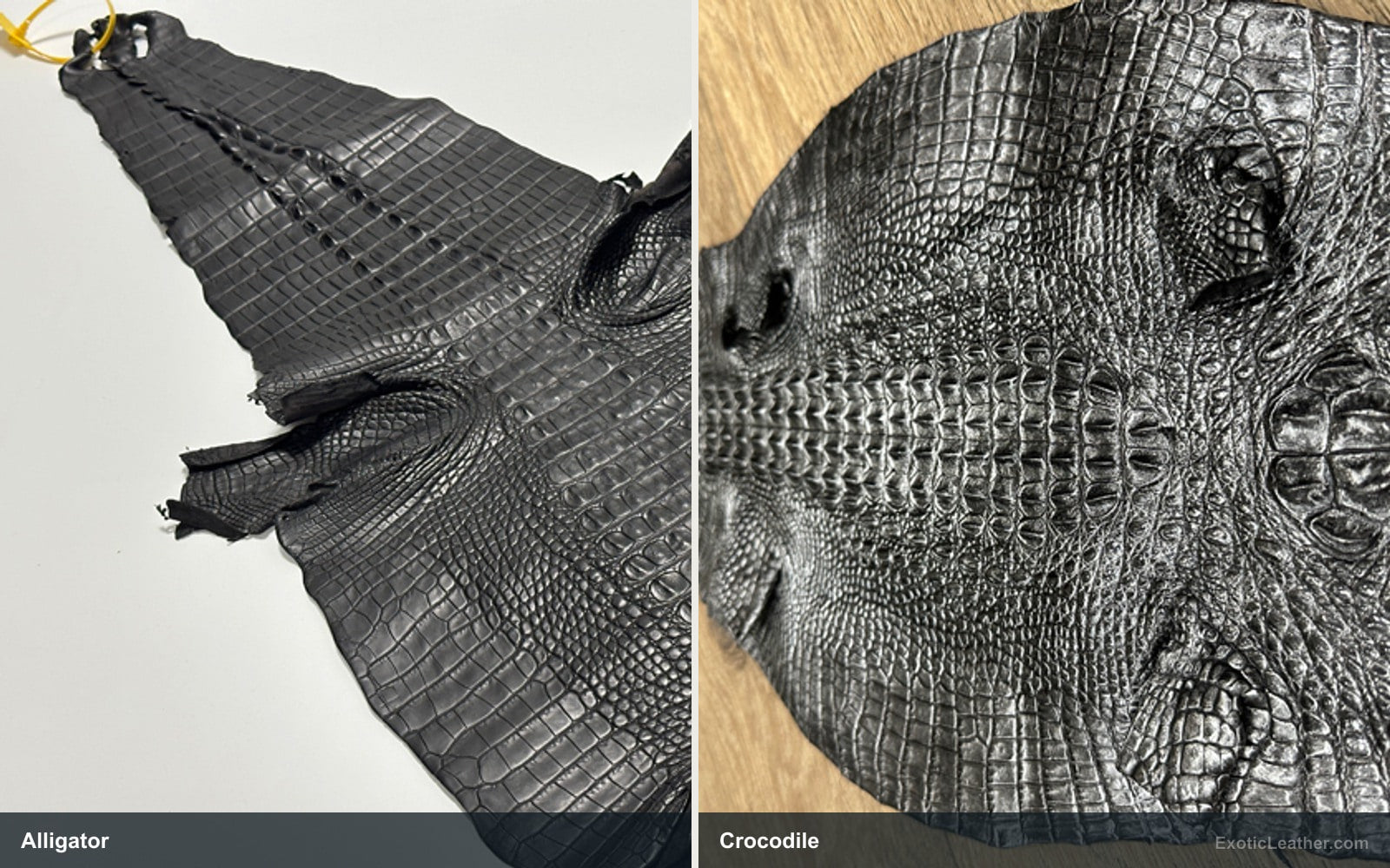 Side-by-side view of Alligator, Crocodile leather showing natural texture and pattern differences