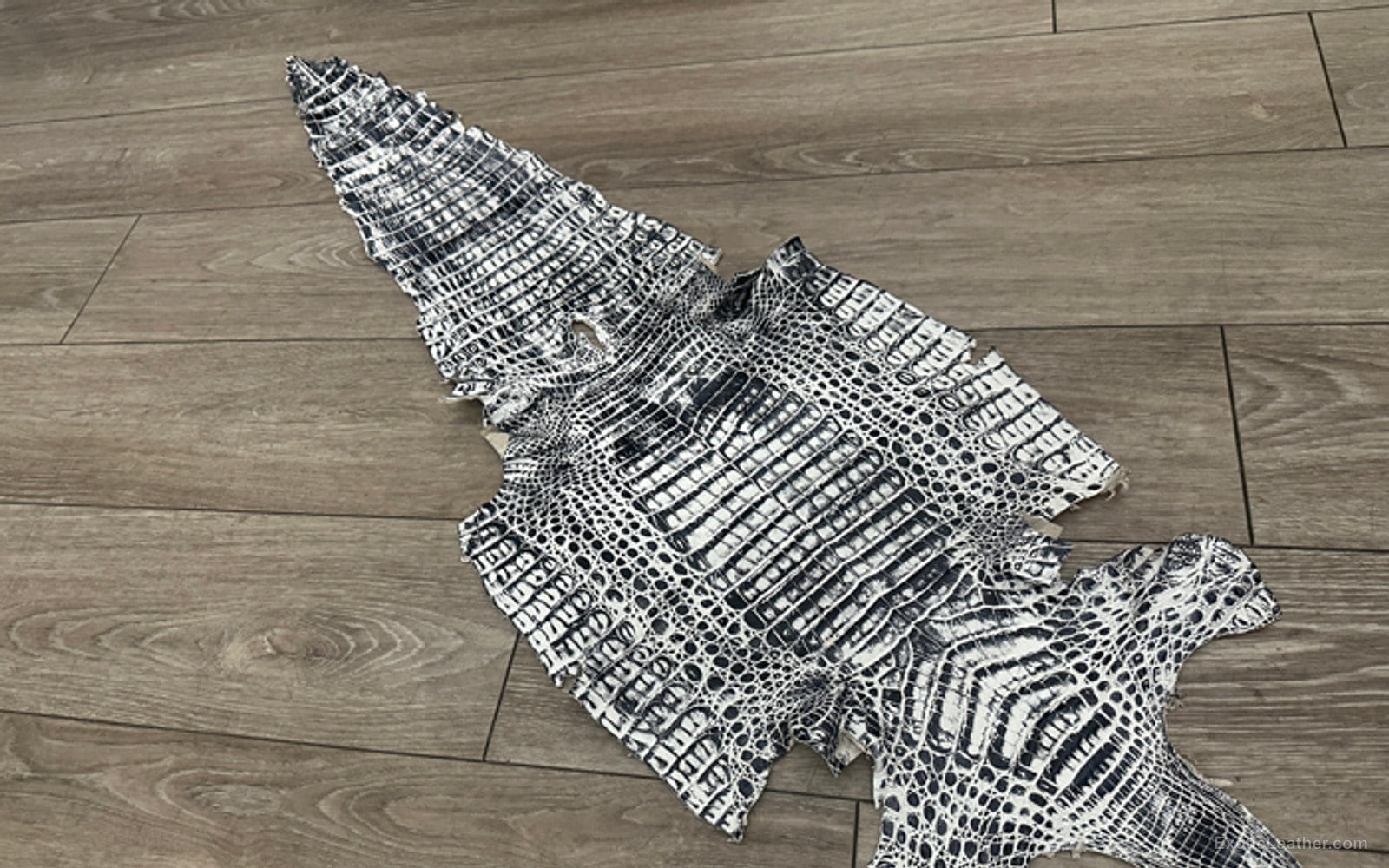 Genuine caiman leather showing natural texture, pattern, and markings
