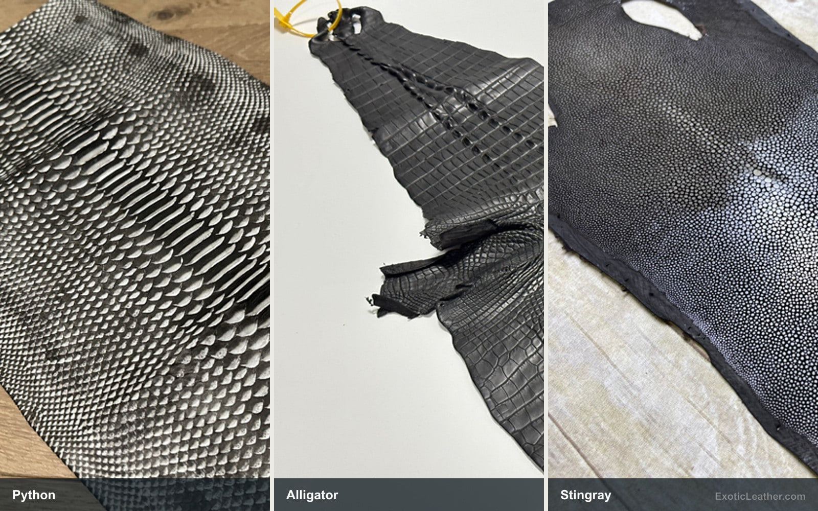 Side-by-side view of Python, Alligator, Stingray leather showing natural texture and pattern differences