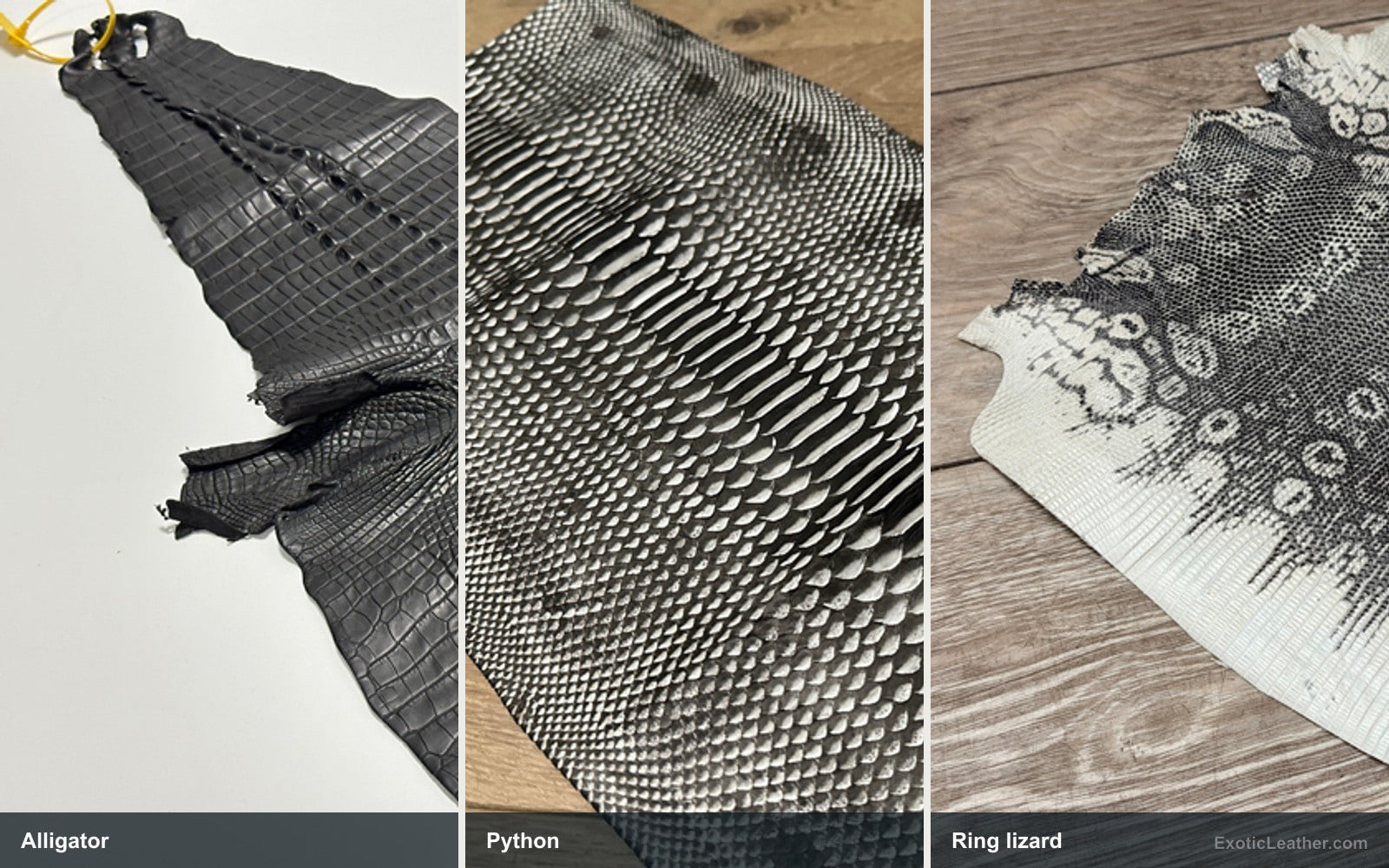 Side-by-side view of Alligator, Python, Ring lizard leather showing natural texture and pattern differences