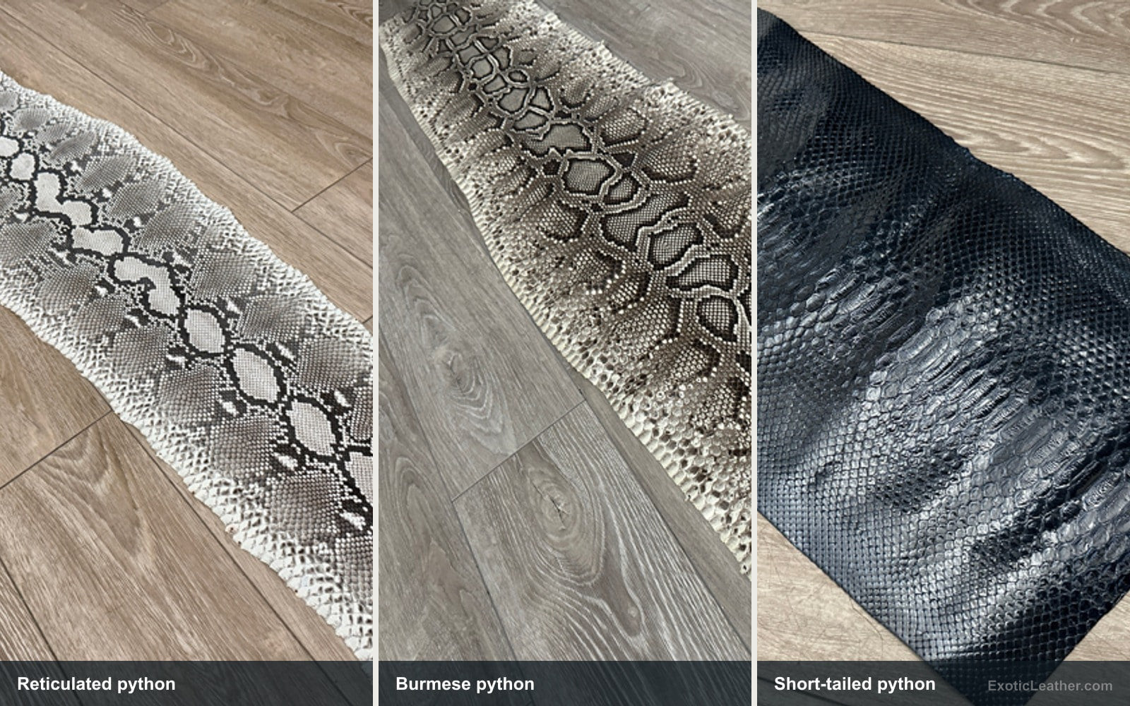 Side-by-side view of Reticulated python, Burmese python, Short-tailed python leather showing natural texture and pattern differences
