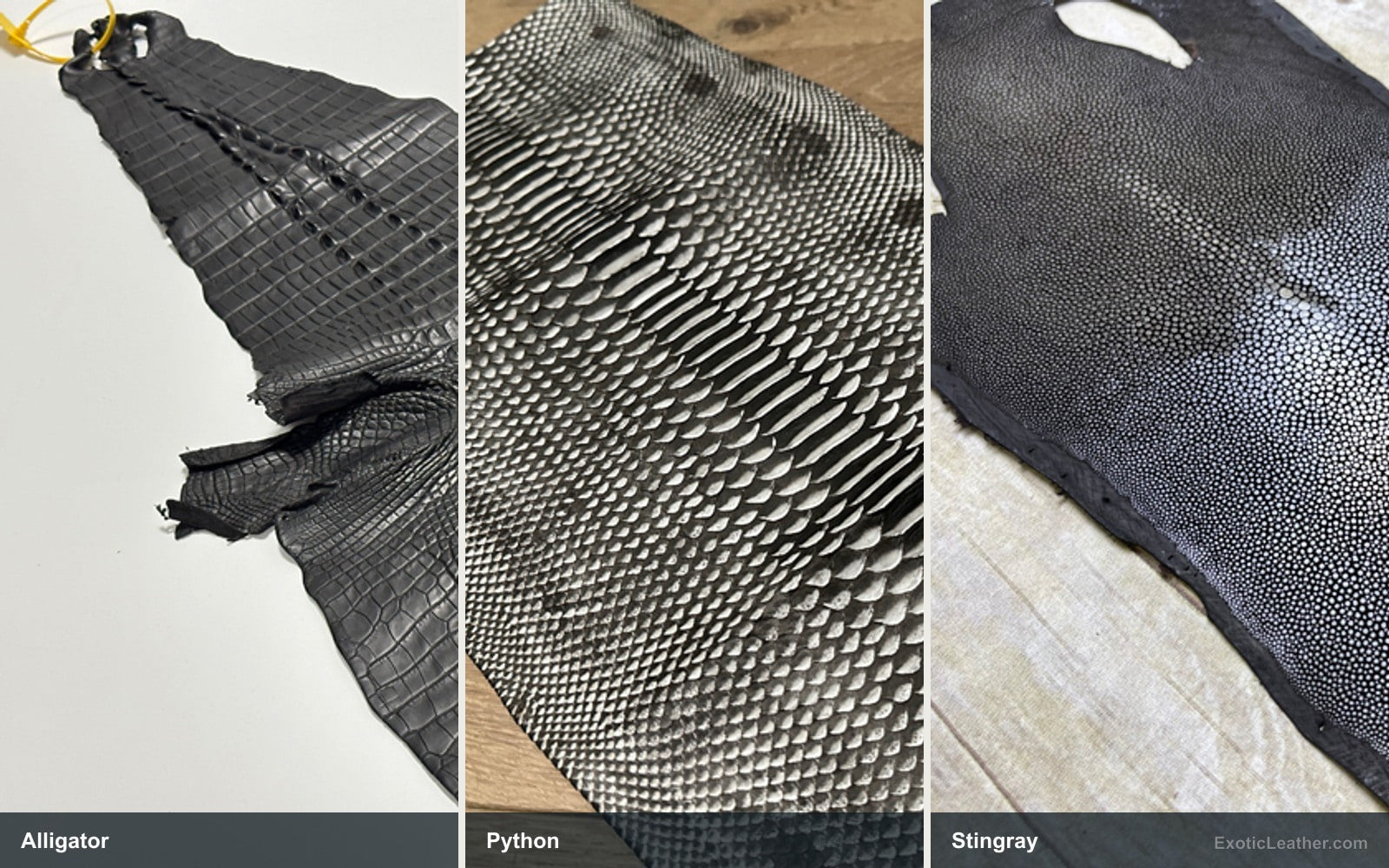 Side-by-side view of Alligator, Python, Stingray leather showing natural texture and pattern differences